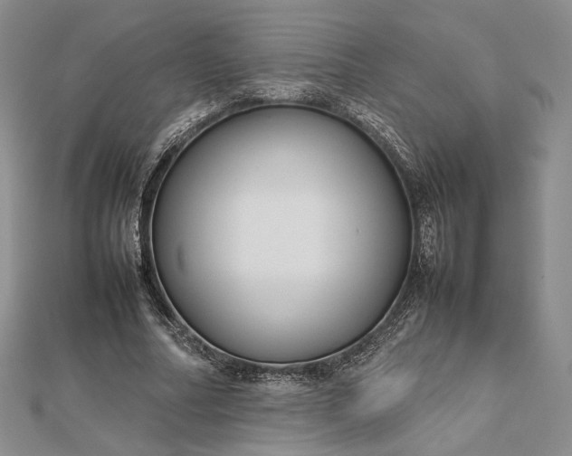 X0000112470682200908311350