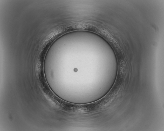 X0000112470683200908311350