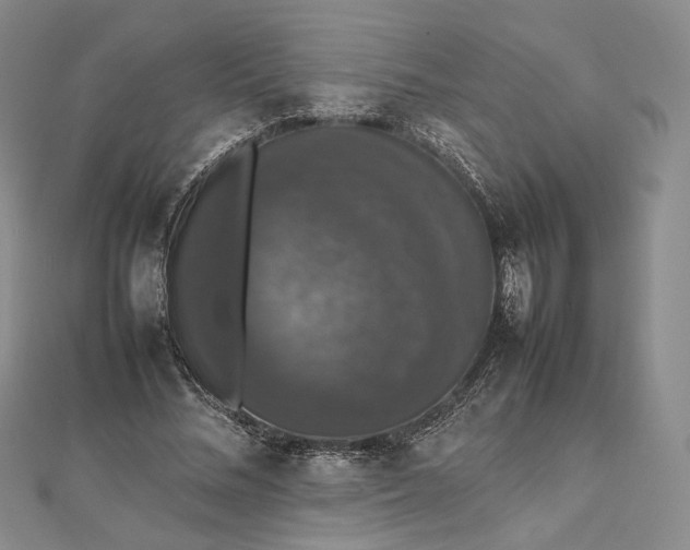 X0000112470684200908311350