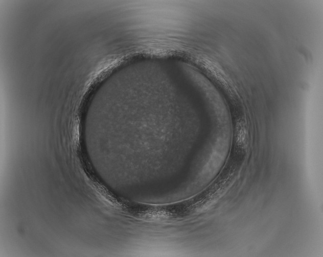 X0000112470685200908311350