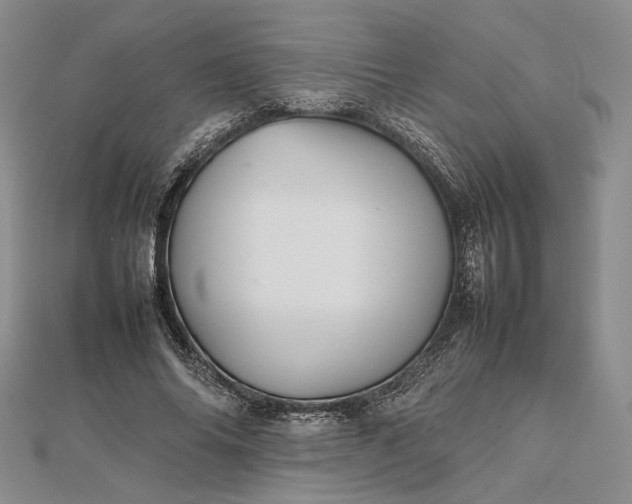 X0000112470686200908311350