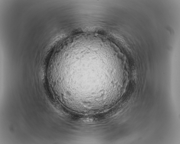 X0000112470687200908311350