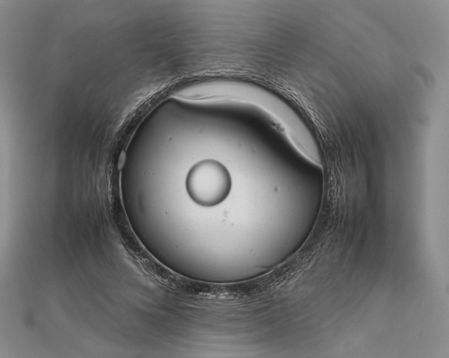 X0000112470688200908311350