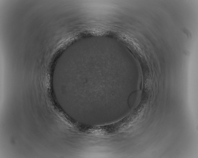 X0000112470689200908311350