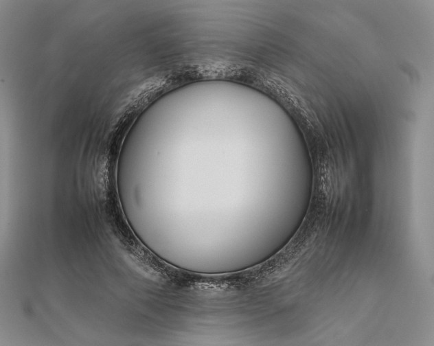 X0000112470690200908311350