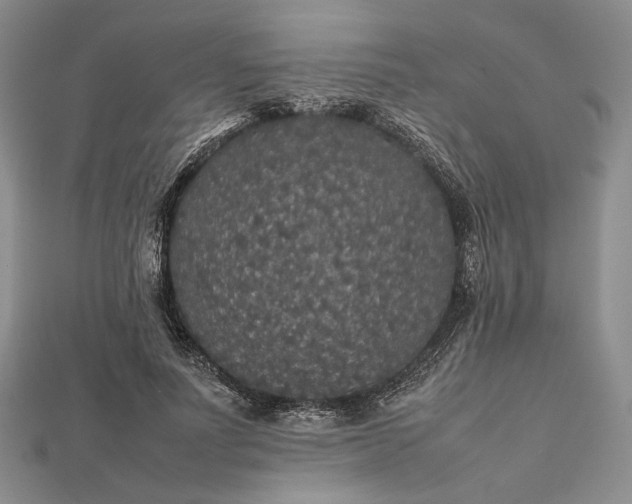 X0000112470691200908311350