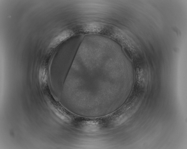 X0000112470692200908311350