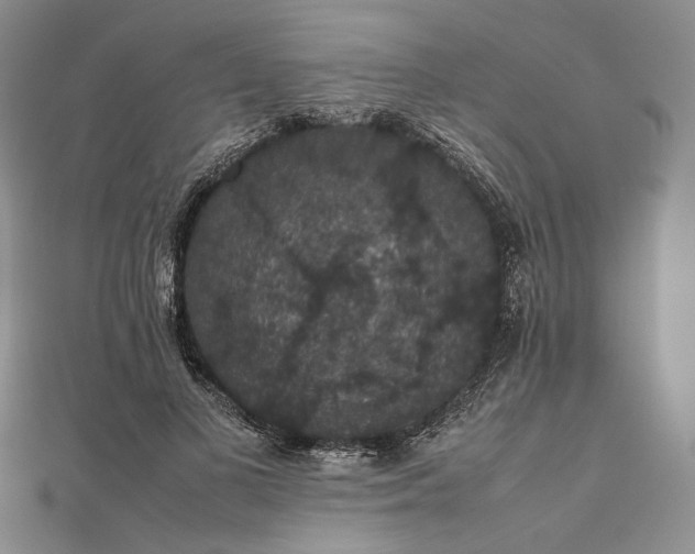 X0000112470693200908311350