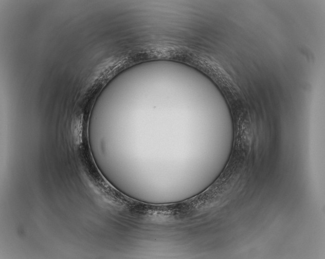 X0000112470694200908311350