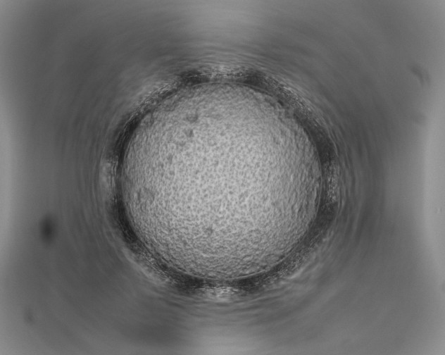 X0000112470695200908311350