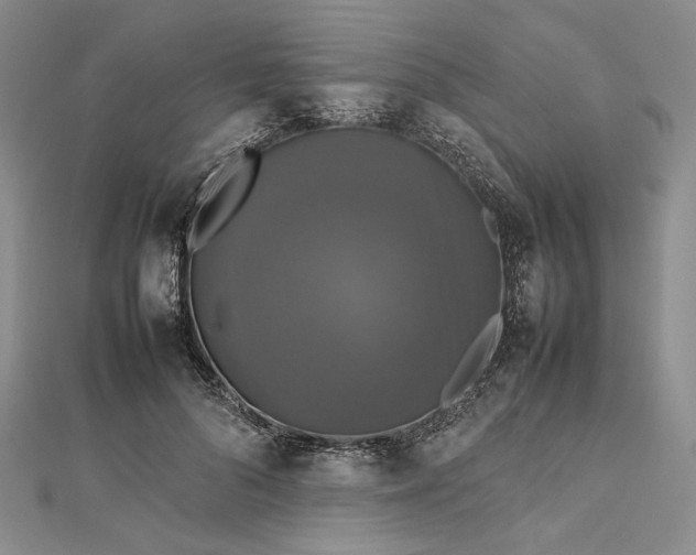 X0000112470696200908311350