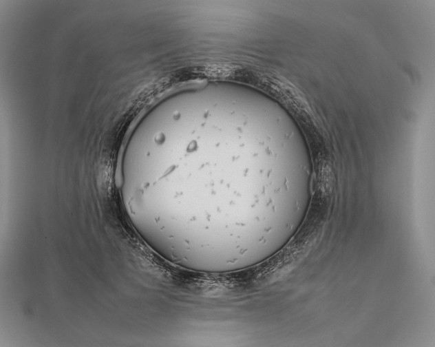 X0000112470697200908311350