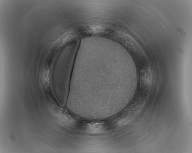 X0000112470700200908311350