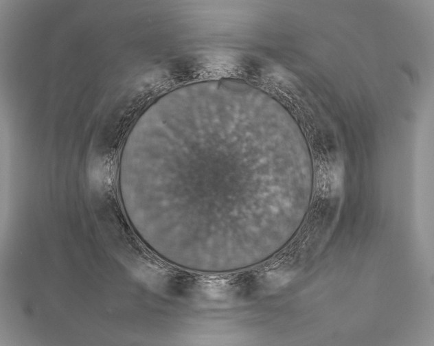 X0000112470701200908311350