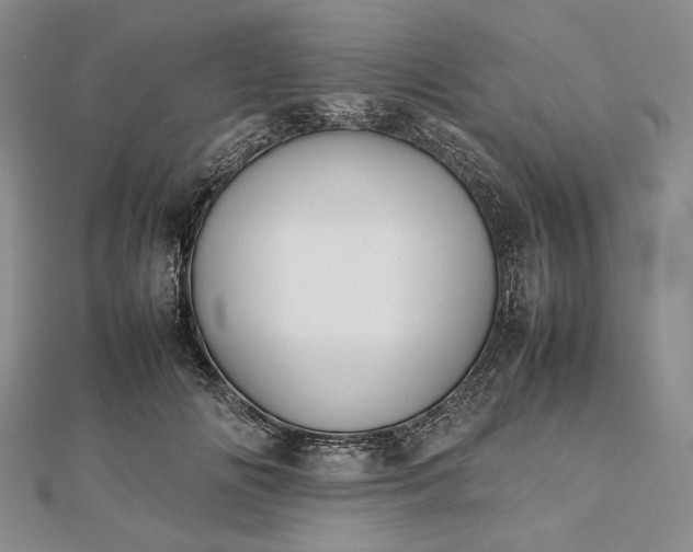 X0000112470702200908311350