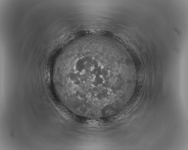 X0000112470703200908311350