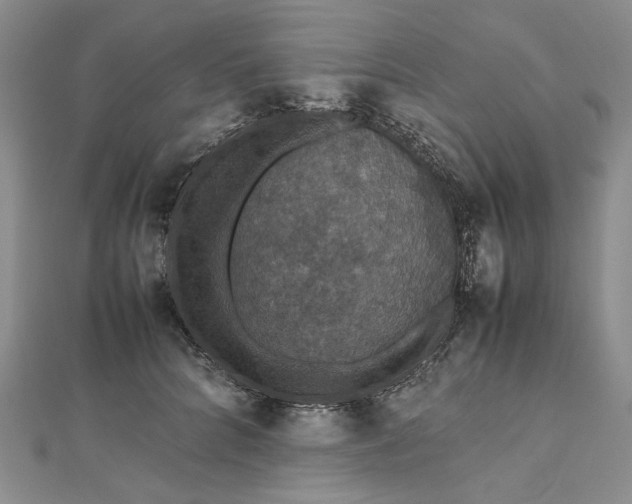 X0000112470704200908311350