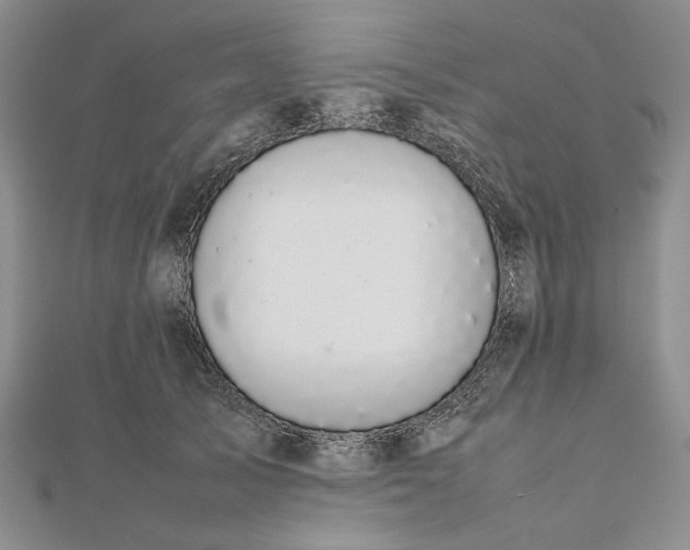 X0000112470705200908311350