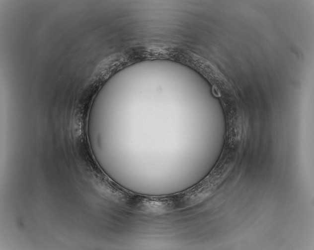 X0000112470706200908311350