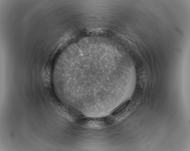 X0000112470708200908311350