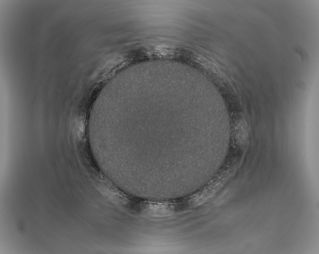 X0000112470709200908311350