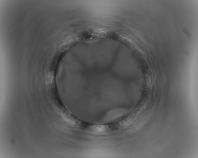 X0000112470711200908311350