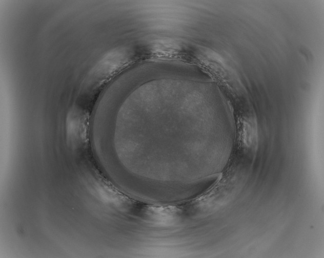 X0000112470712200908311350