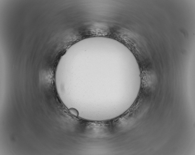 X0000112470713200908311350