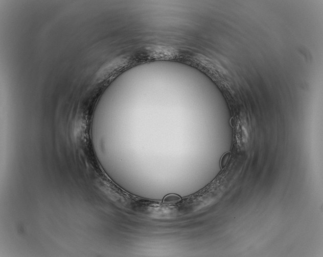 X0000112470714200908311350