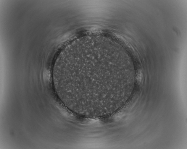 X0000112470715200908311350