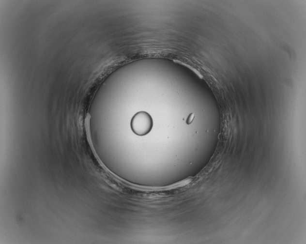 X0000112470716200908311350