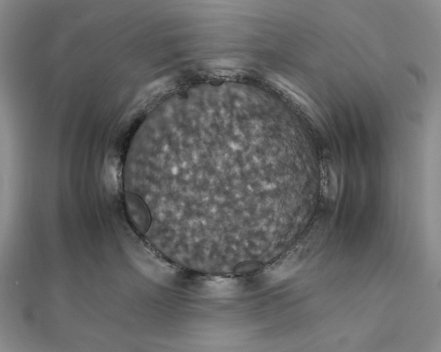 X0000112470718200908311350