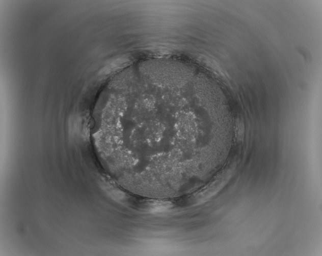 X0000112470719200908311350