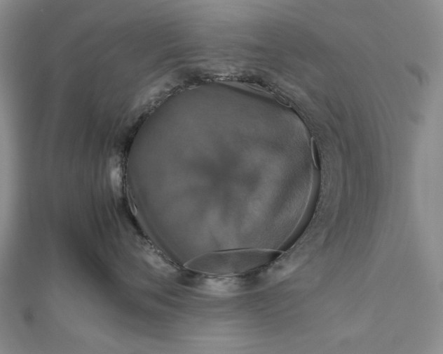 X0000112470720200908311350