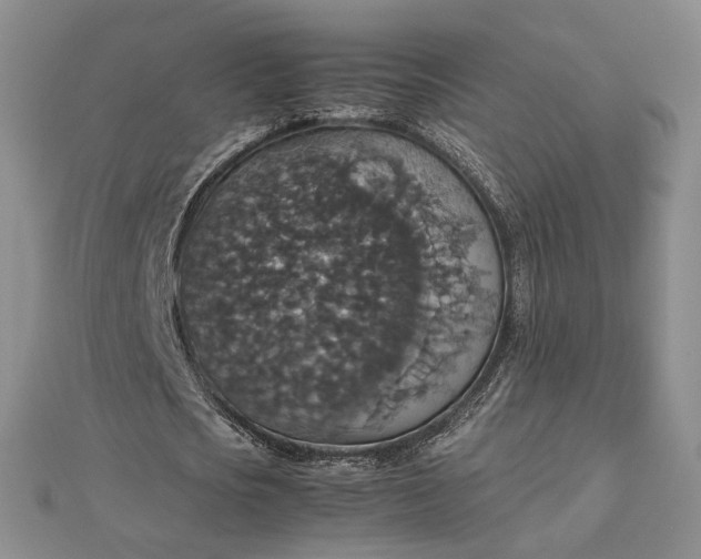 X0000112470721200908311349