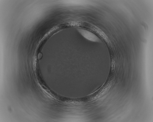 X0000112470722200908311349