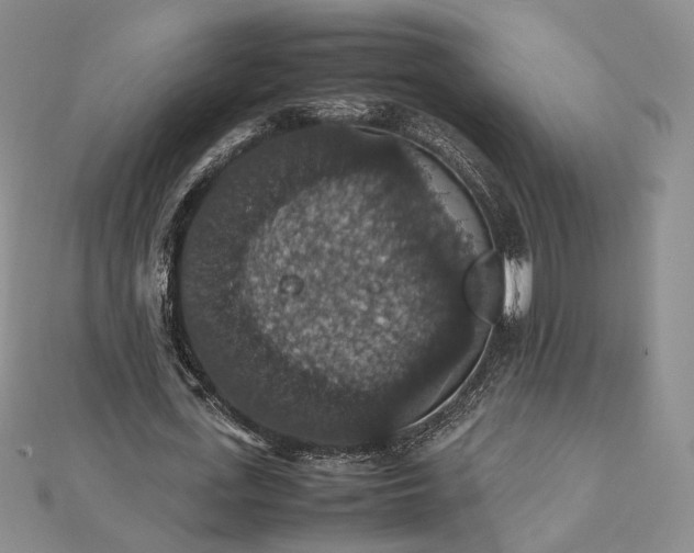 X0000112470723200908311349