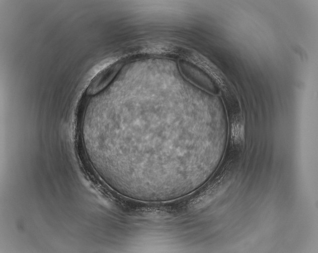 X0000112470724200908311349