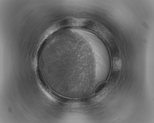 X0000112470726200908311349