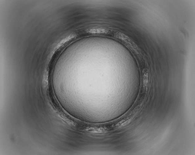 X0000112470727200908311349