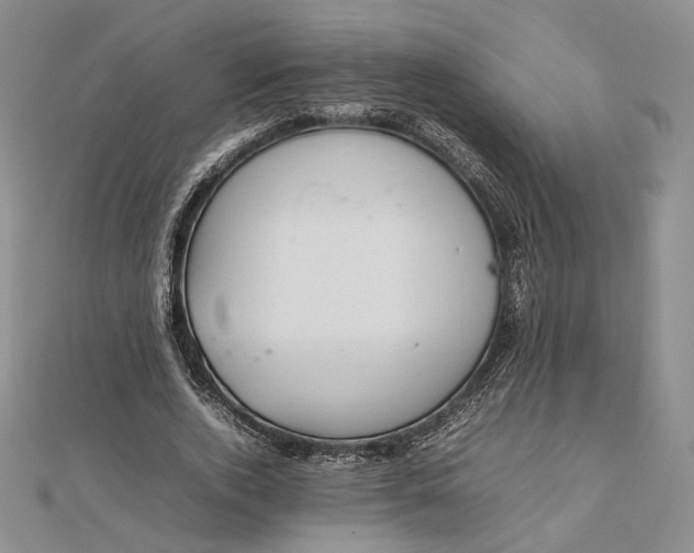 X0000112470728200908311349