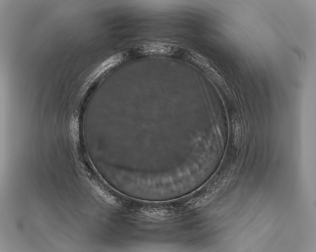 X0000112470729200908311349