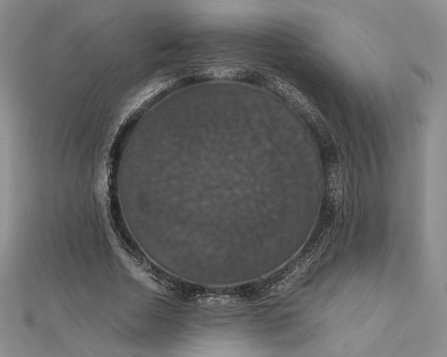 X0000112470730200908311349