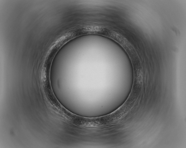 X0000112470731200908311349