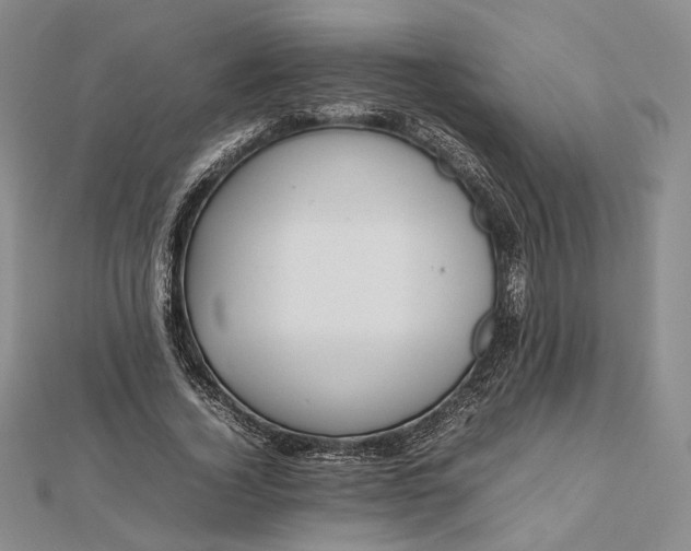 X0000112470732200908311349