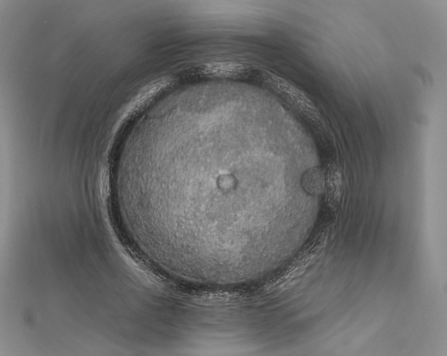 X0000112470734200908311349