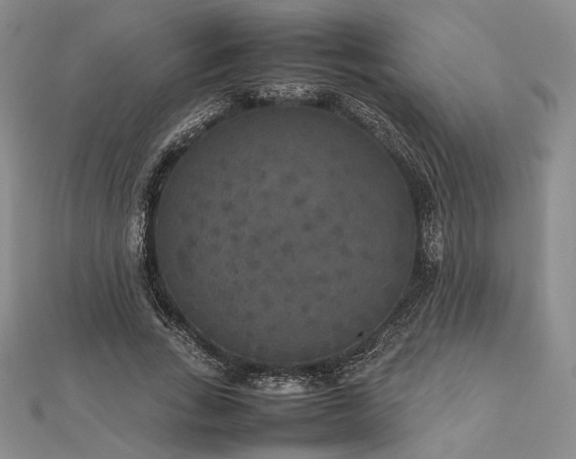 X0000112470735200908311349