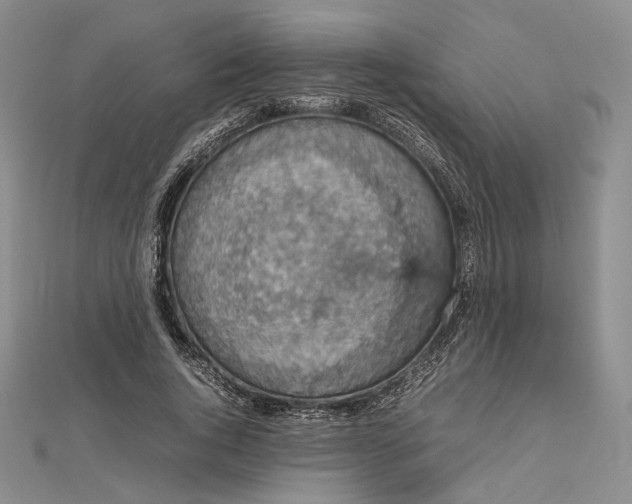 X0000112470736200908311349