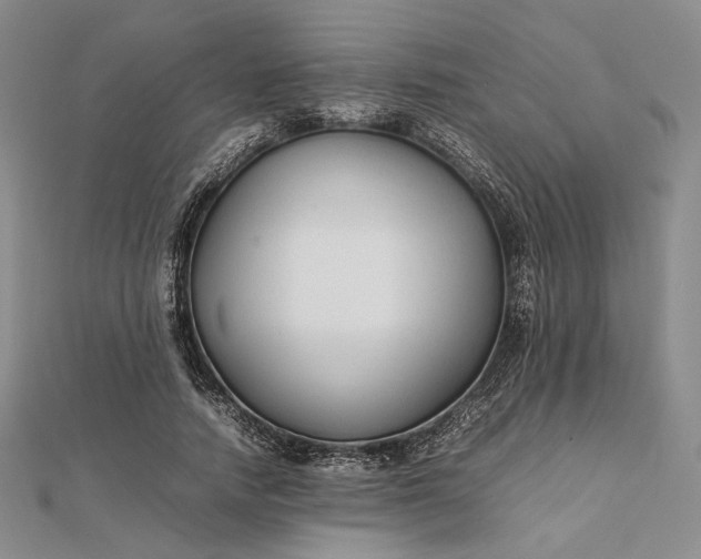 X0000112470738200908311349