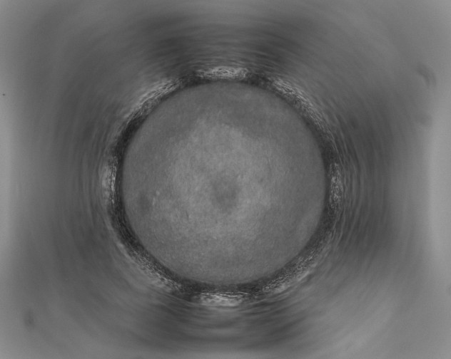 X0000112470739200908311349